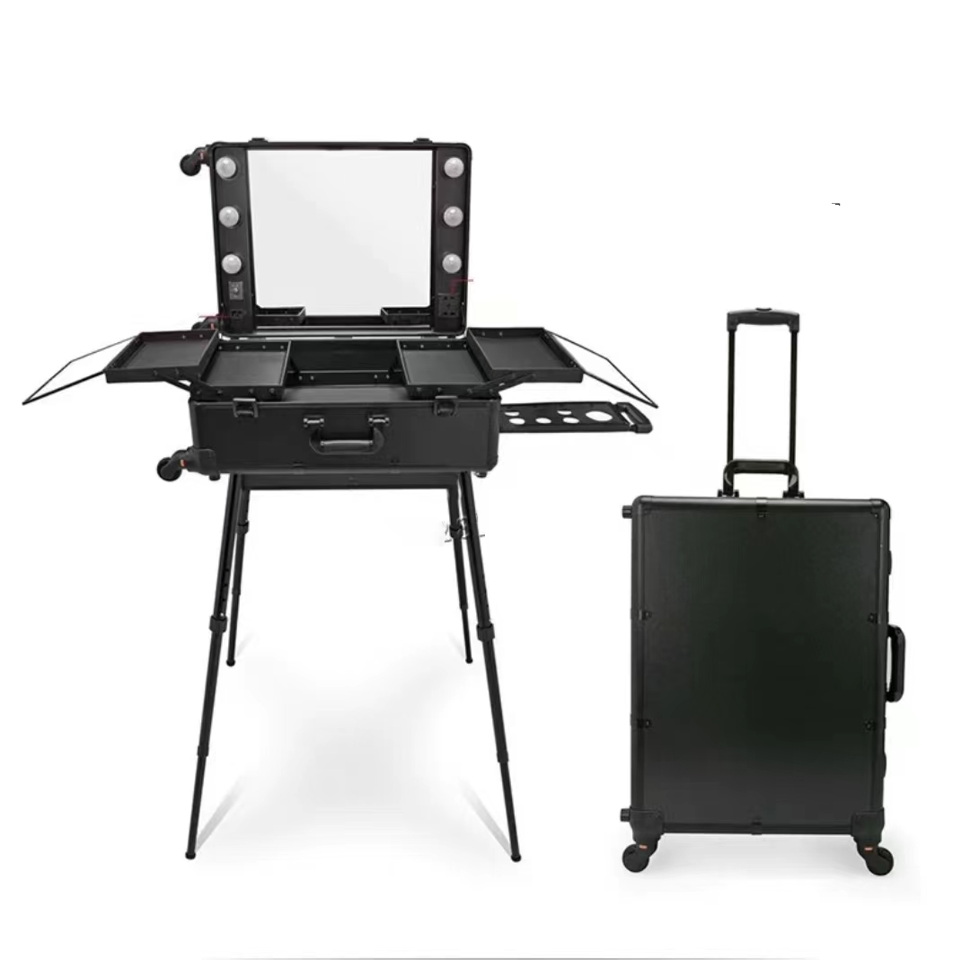 Makeup trolley case with light and mirror