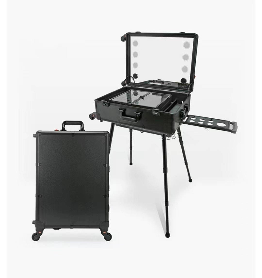 Makeup trolley case with light and mirror