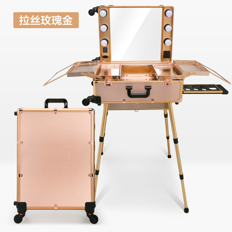 Makeup trolley case with light and mirror