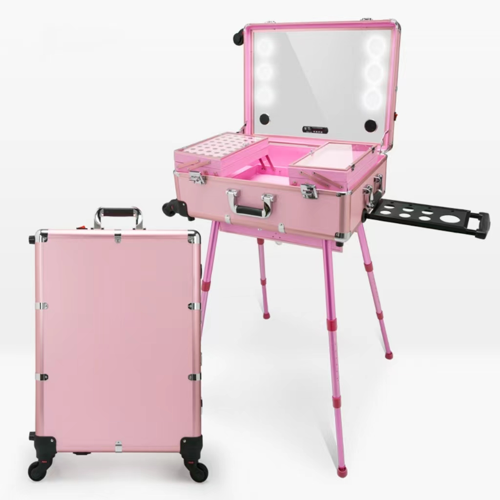 Makeup trolley case with light and mirror