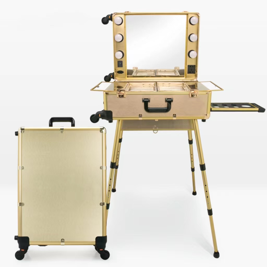 Makeup trolley case with light and mirror