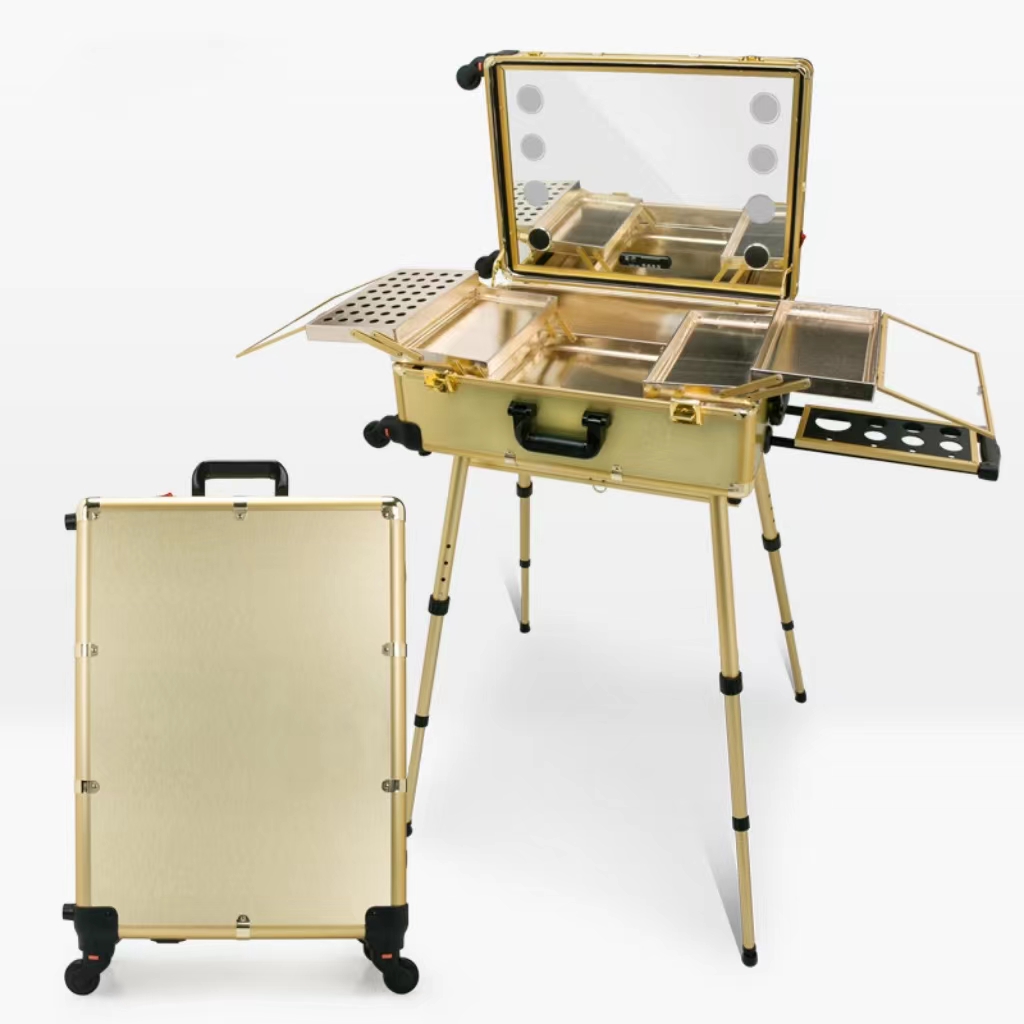 Makeup trolley case with light and mirror